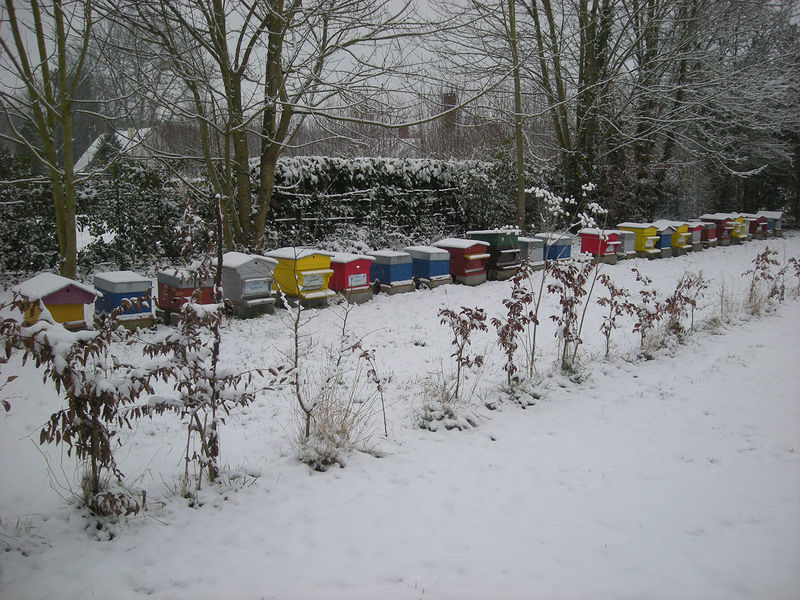 La ruche Brome Fierger